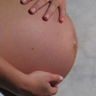 Vandet går - alt du skal vide